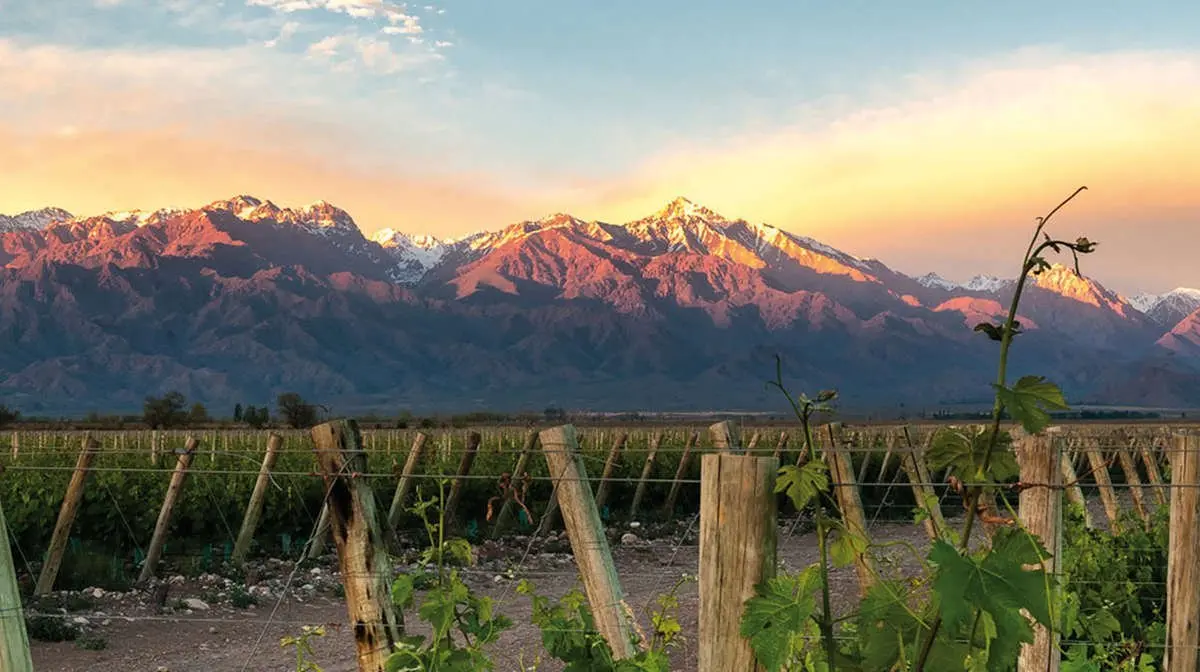Mendoza golf and wine package Argentina vineyards Andes