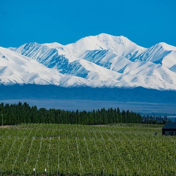Mendoza Argentina winery luxury golf wine trip