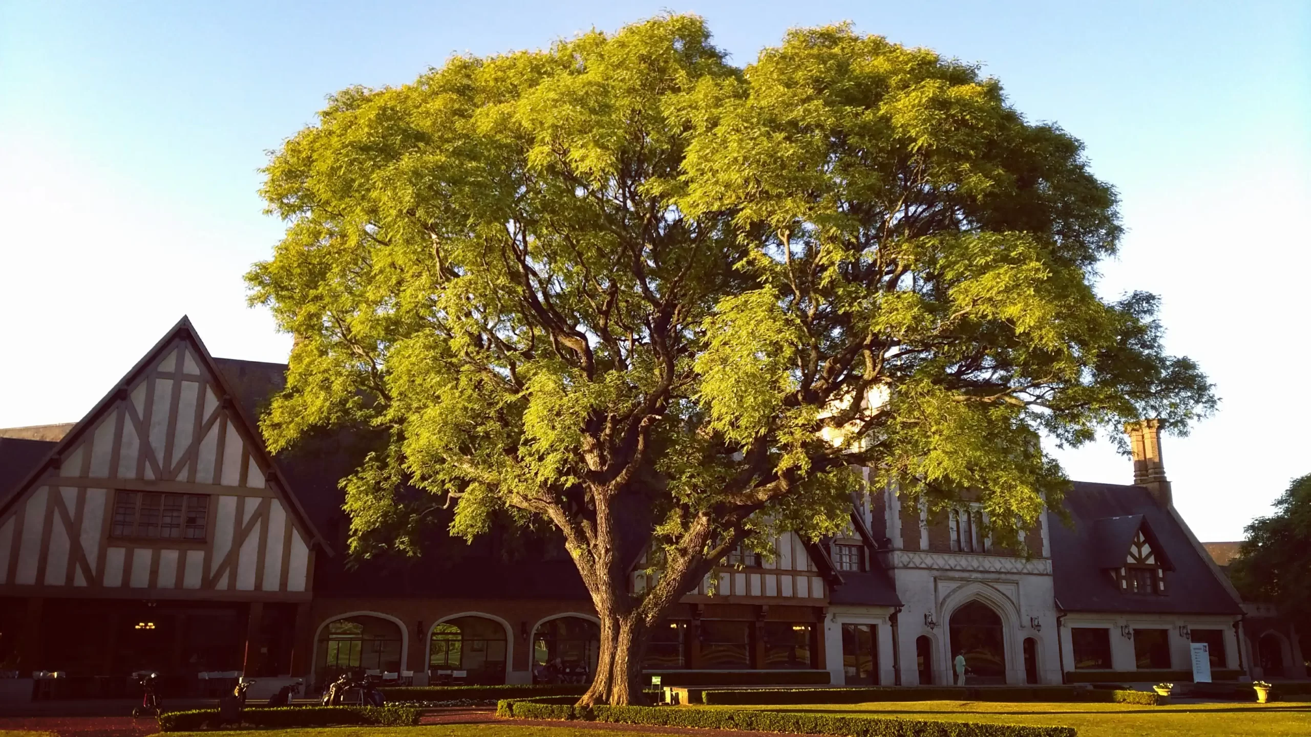 Jockey Club de San Isidro private golf course Buenos Aires Argentina visitor access