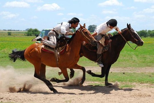 Gaucho Day estancia asado Buenos Aires Argentina