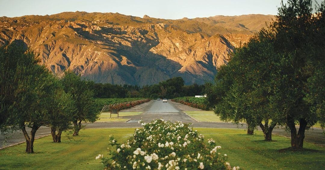 Green surrounded by mountains and blue sky in Argentina