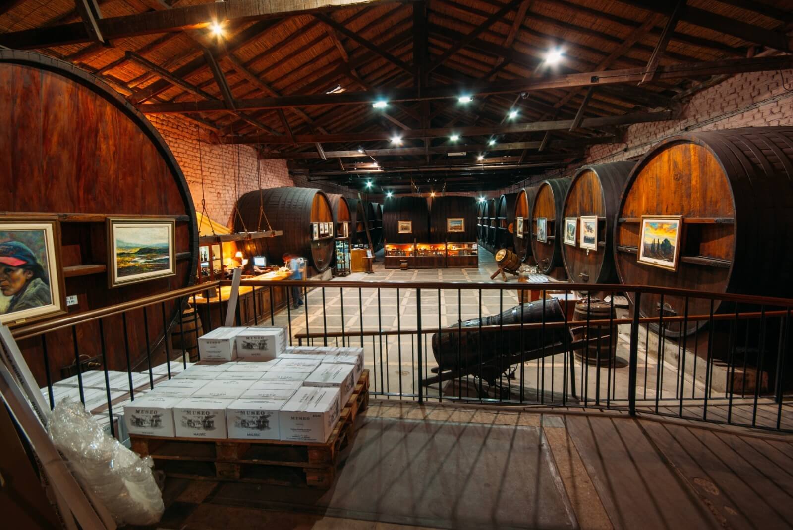 Wine tour experience in Mendoza, Argentina