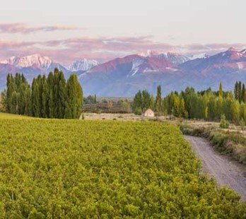 Mendoza Andes landscape Argentina