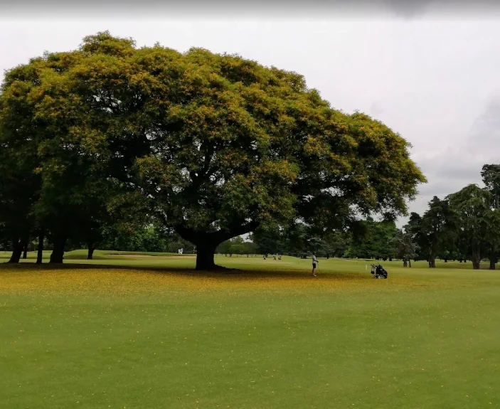 Jockey Club San Isidro private golf experience near Buenos Aires
